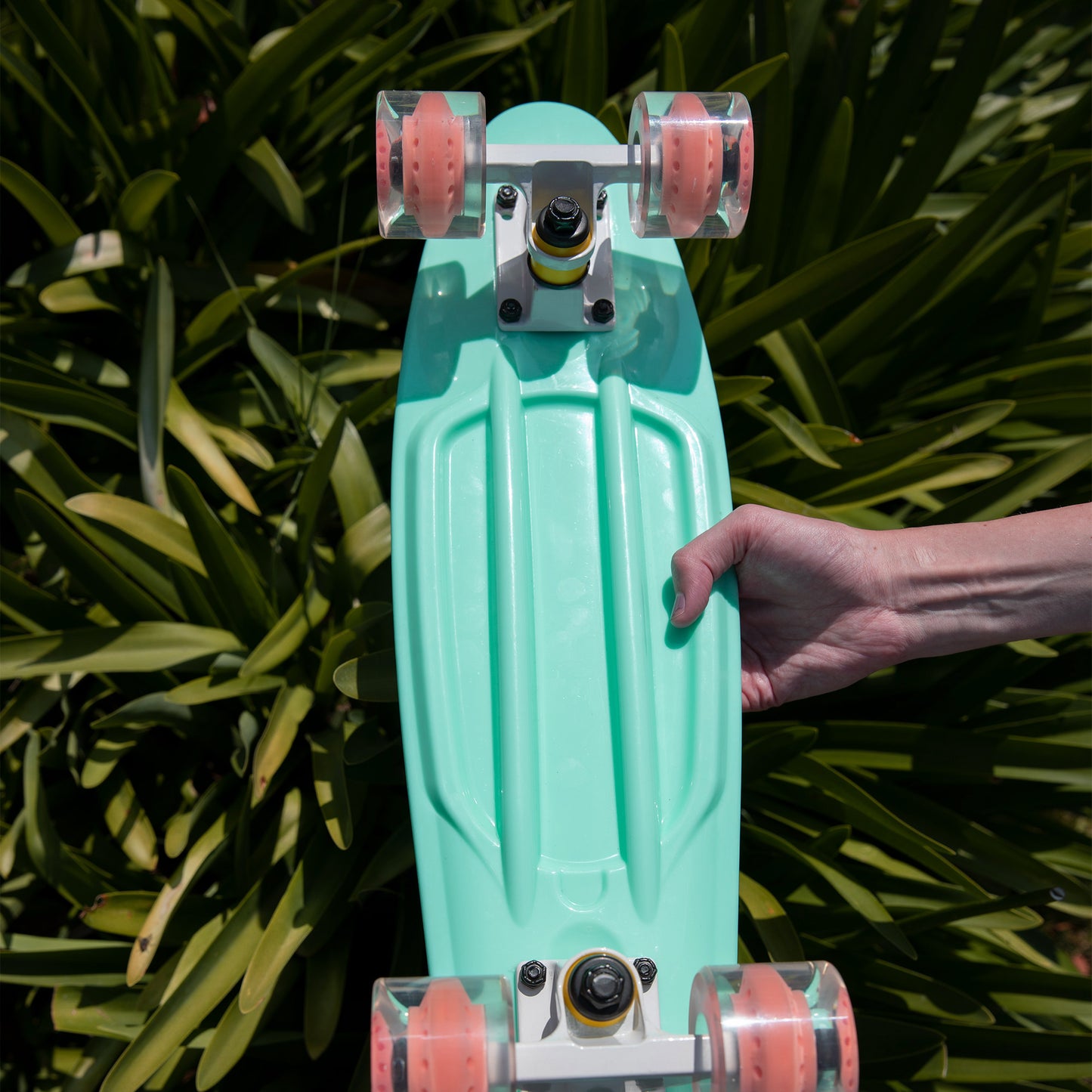 Arcadia Mini Cruiser 22”