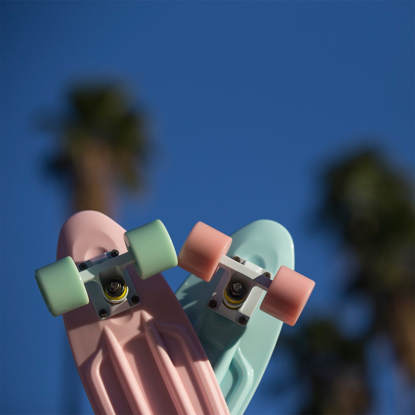 Lotus Mini Cruiser 22”