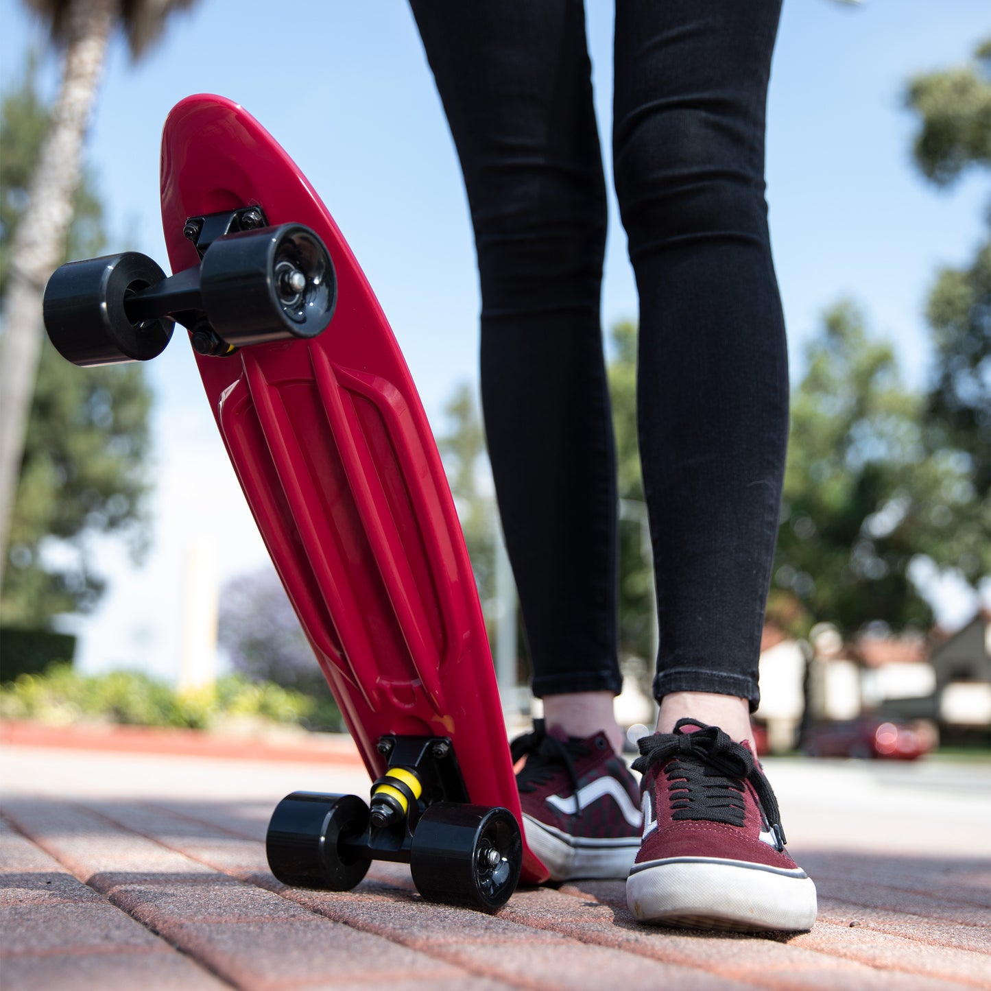 Sandman Mini Cruiser 22”