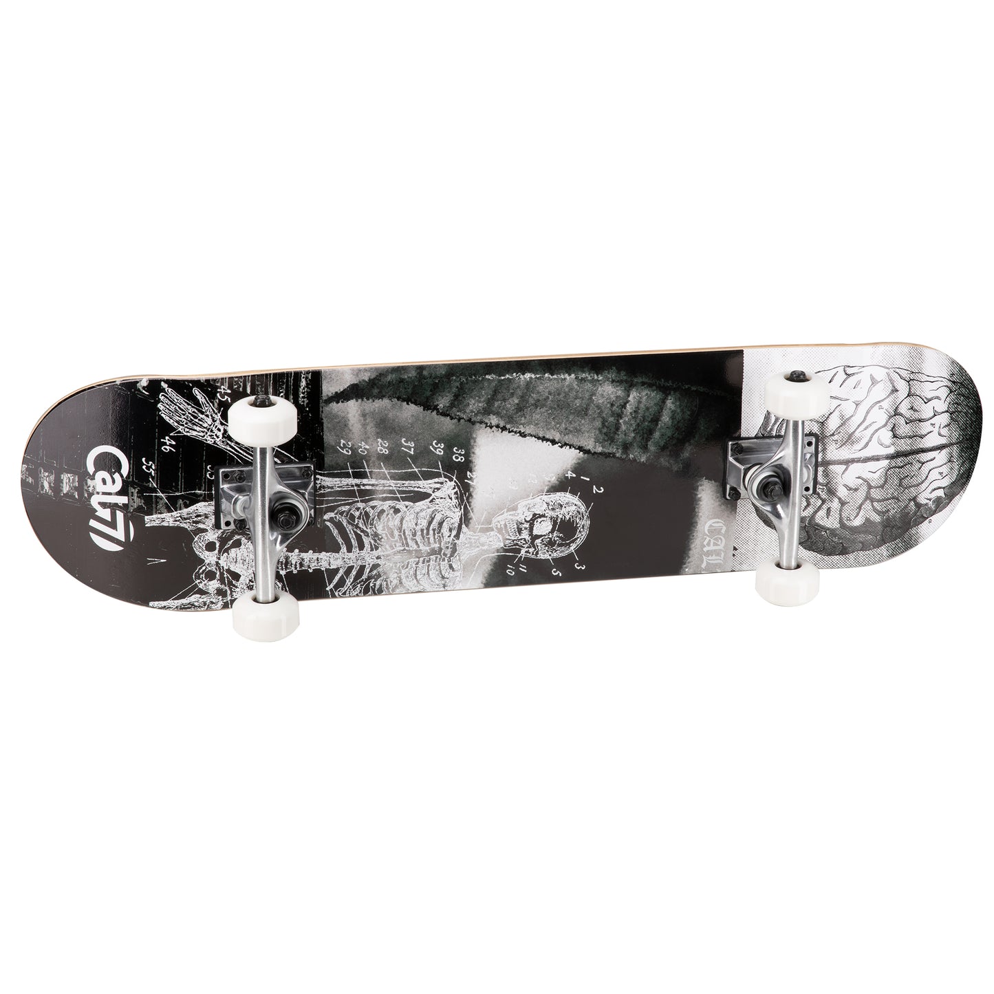 black and white Cal 7 complete 8-inch Anatomy skateboard deck