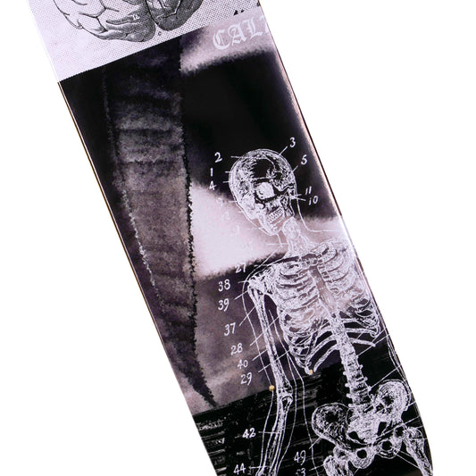 cold pressed cal 7 skateboard deck with anatomy graphic
