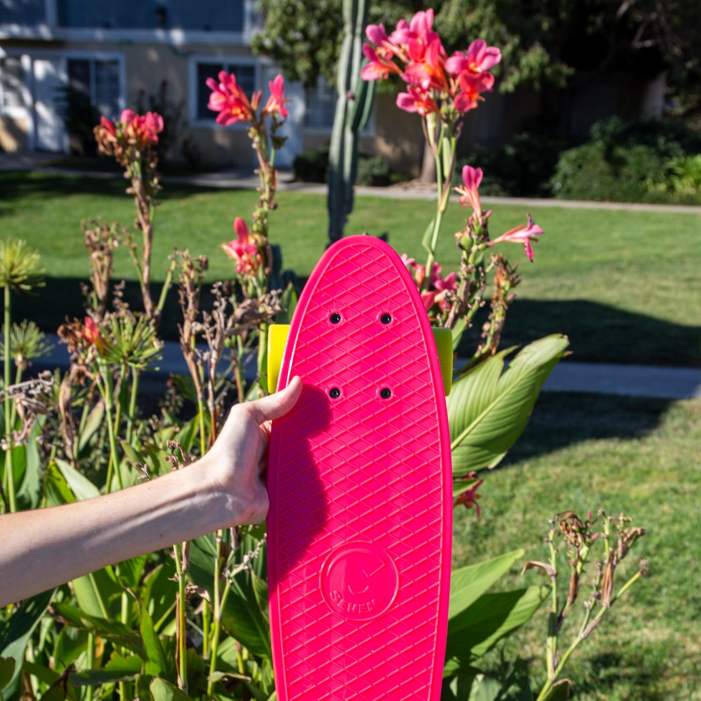 Hibiscus Mini Cruiser 22”