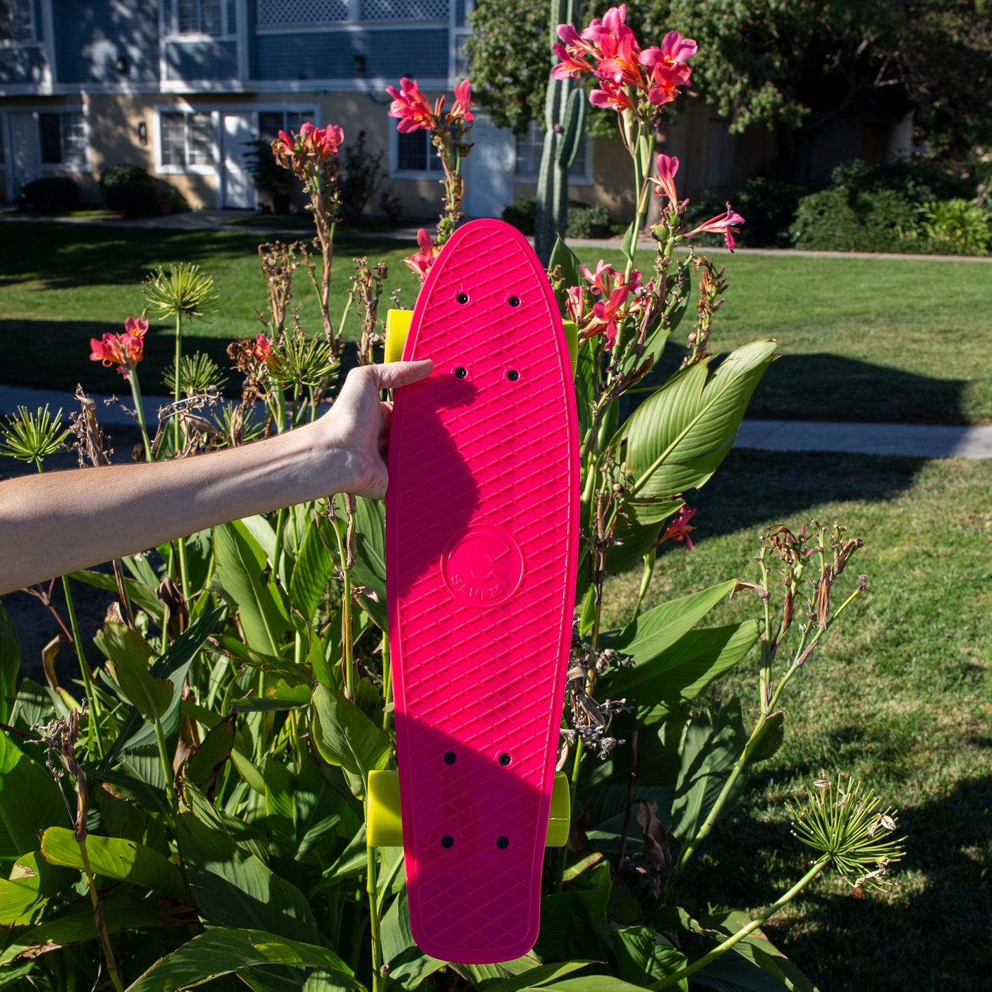 Hibiscus Mini Cruiser 22”