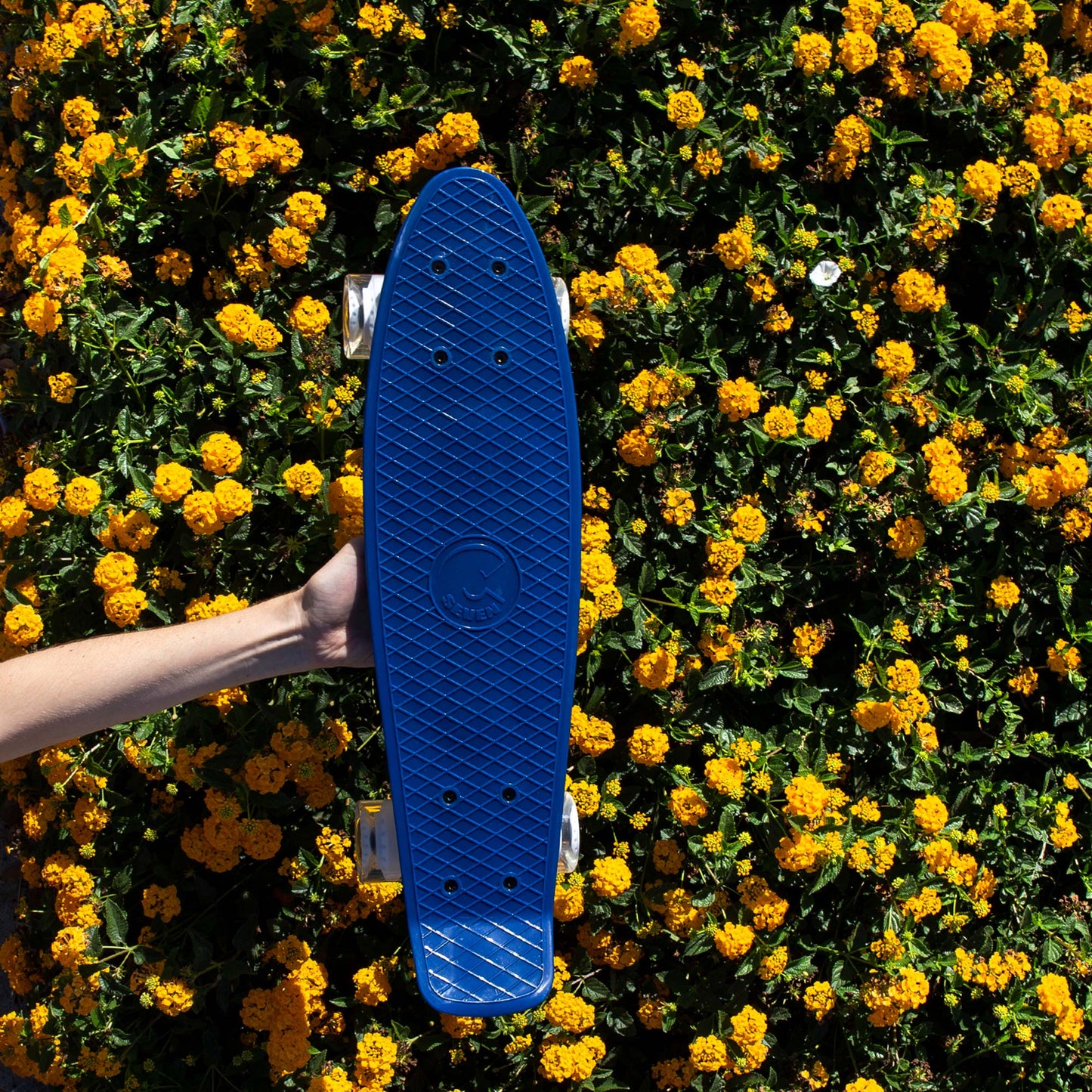 Midnight Mini Cruiser 22”