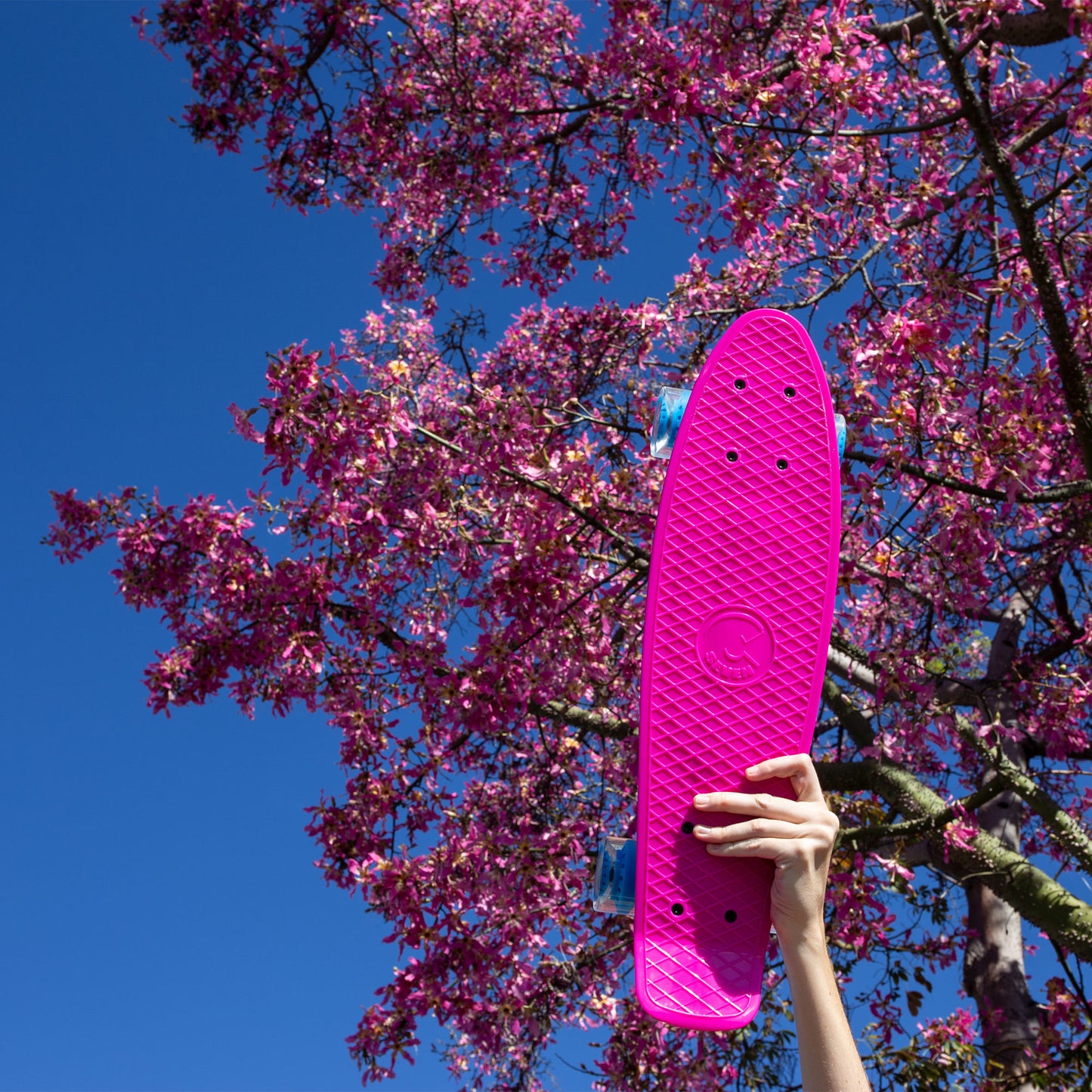Paradise Mini Cruiser 22”