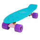 Zesty Mini Cruiser 22”