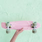 Lotus Mini Cruiser 22”