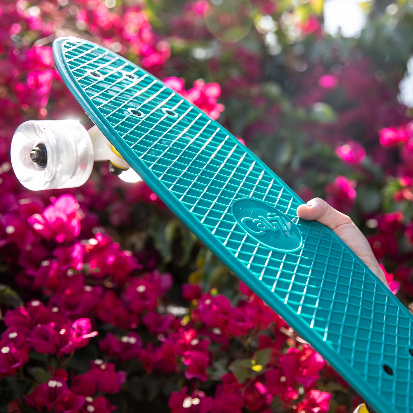 Midgard Mini Cruiser 22”