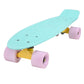 Mint Mini Cruiser 22”