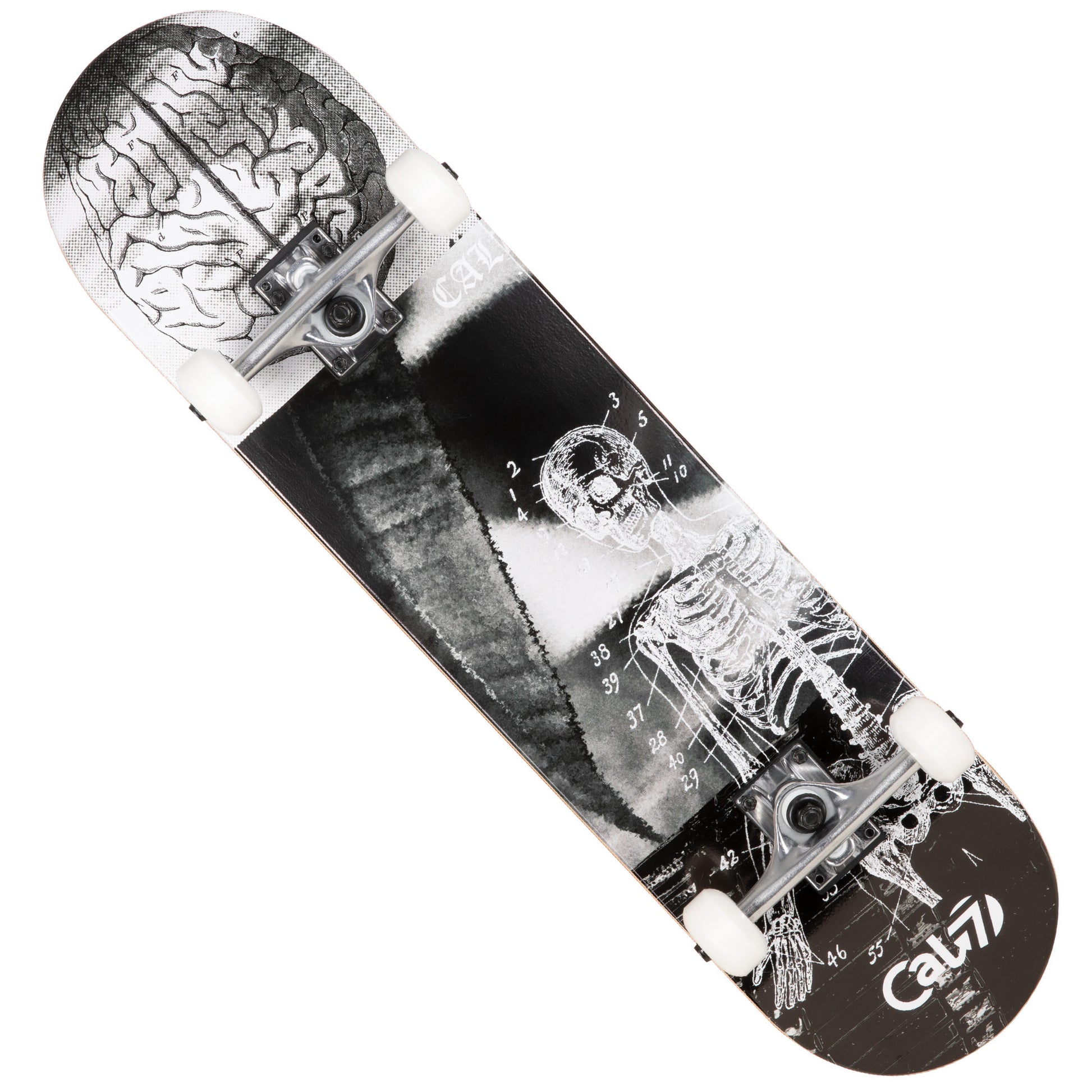 black and white Cal 7 complete 8-inch Anatomy skateboard deck