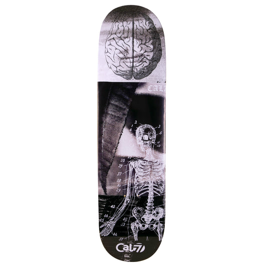 cold pressed cal 7 skateboard deck with anatomy graphic